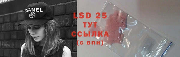 спайс Верея