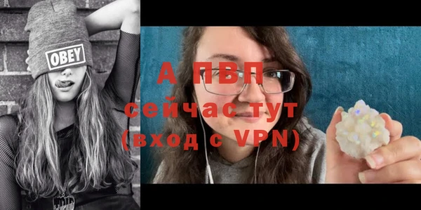 спайс Верея