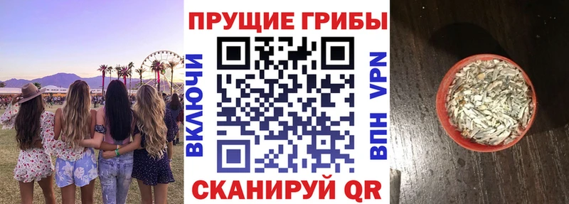 Галлюциногенные грибы мухоморы закладка Волгореченск